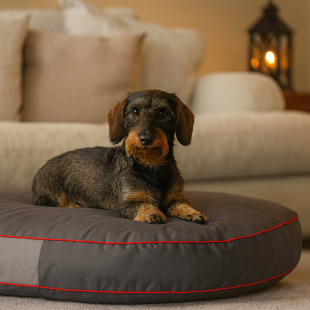 MILLYBO Ovales Hundebett – Gemütliche Matratze für Ihren Hund: Grau