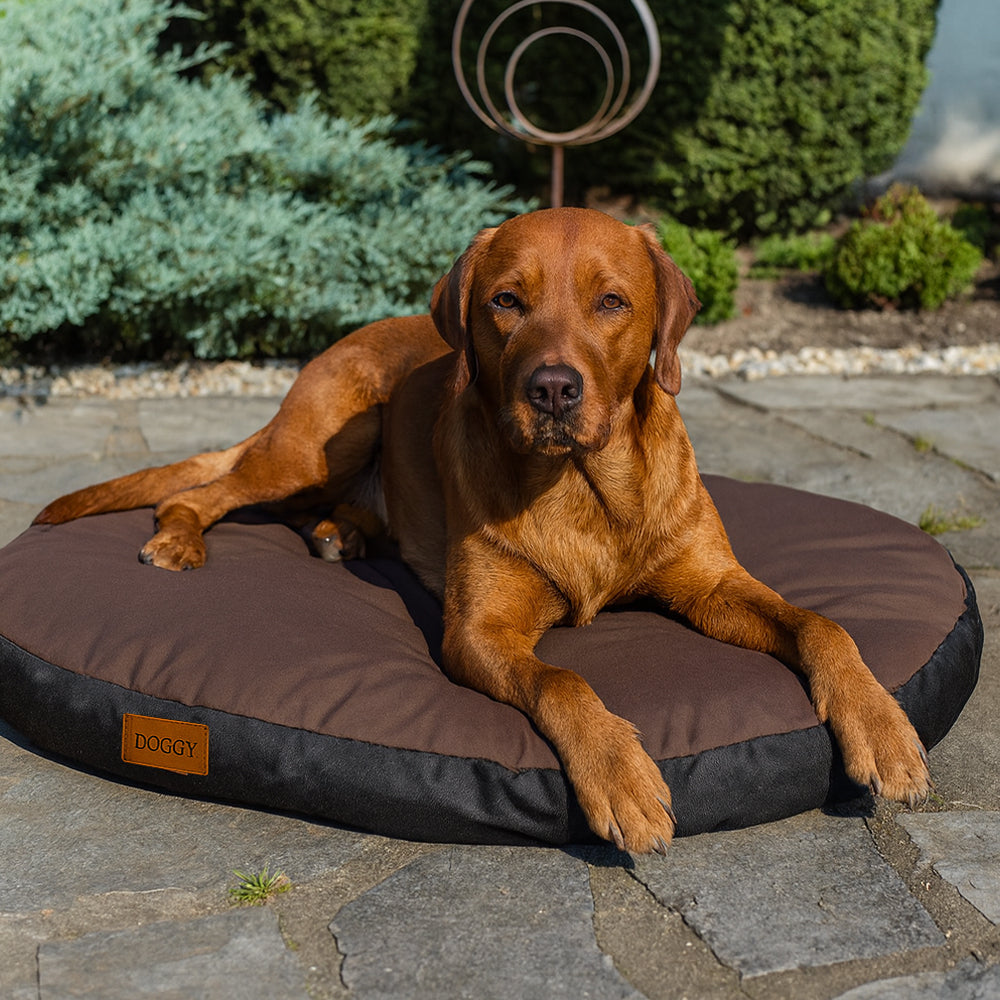 MILLYBO Ovales Hundebett – Gemütliche Matratze für Ihren Hund: Braun