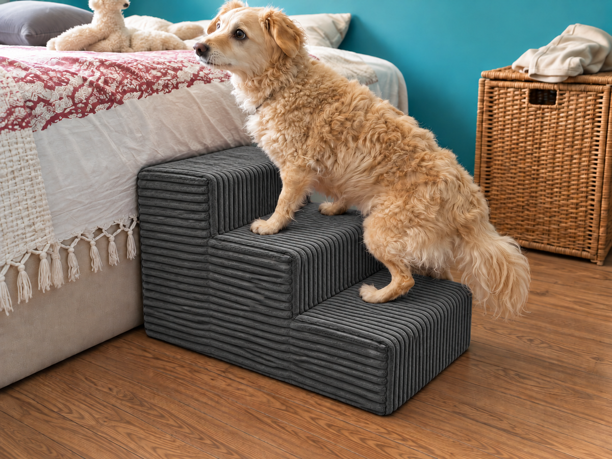 MILLYBO Hundetreppe aus Cord – Haustiertreppe für Hunde & Katzen, 3-stufig, abnehmbarer Bezug: Grau