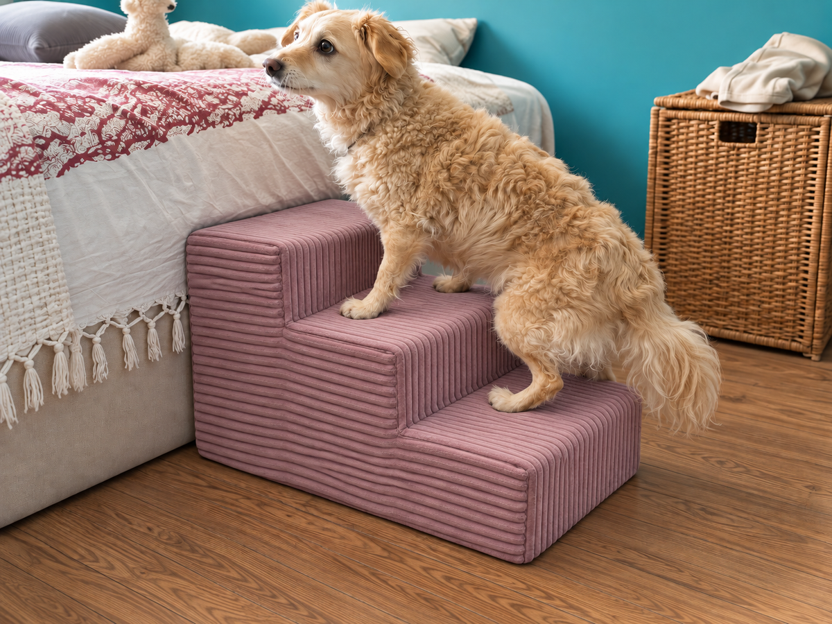 MILLYBO Hundetreppe aus Cord – Haustiertreppe für Hunde & Katzen, 3-stufig, abnehmbarer Bezug: Lila